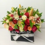 Previous Product Image