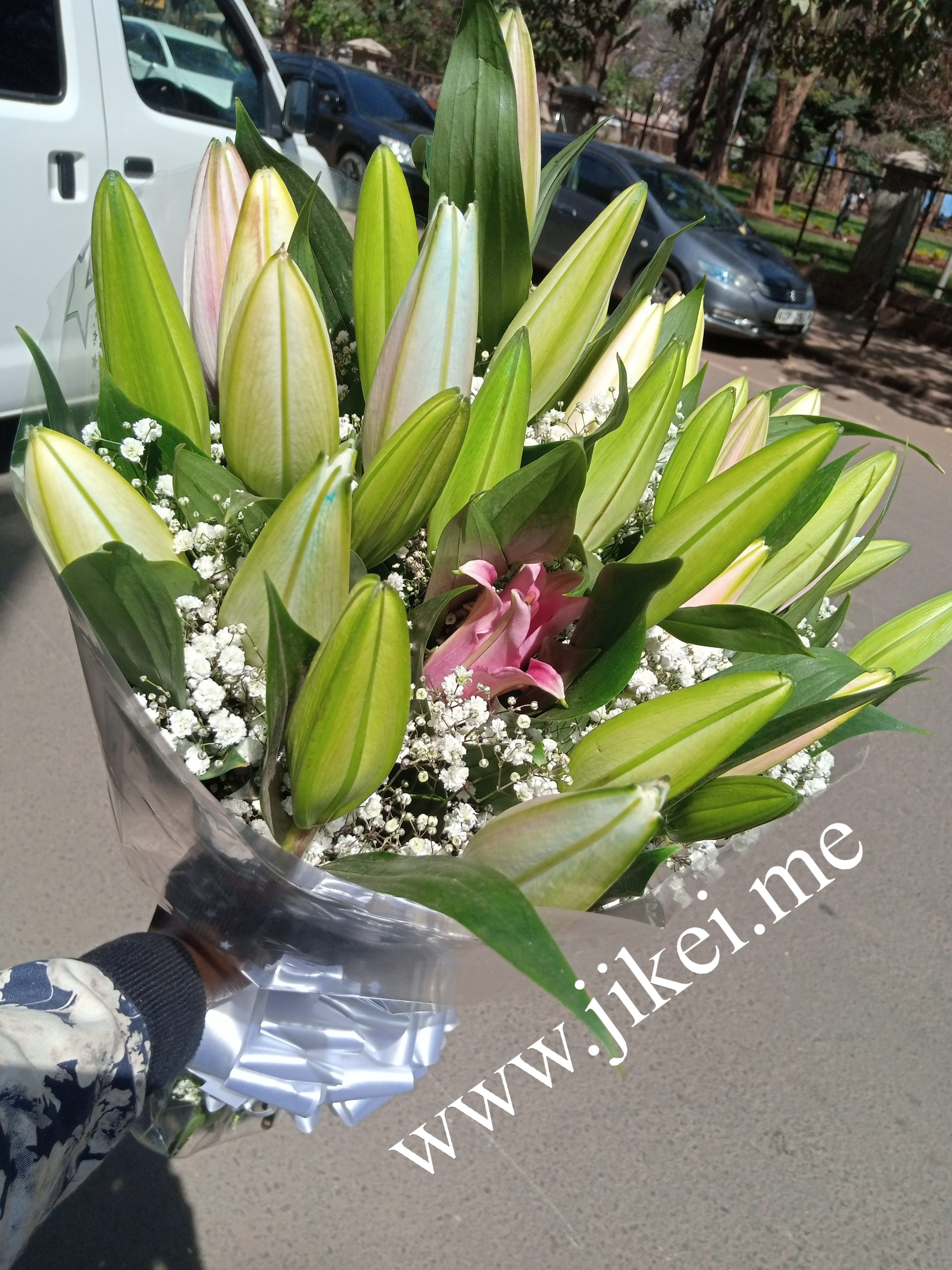 Lilies and Gyspophila