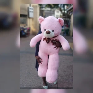 Pink Teddy Bear