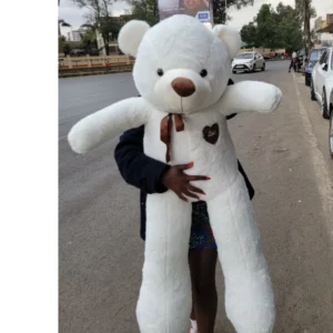 Large Red Teddy Bear